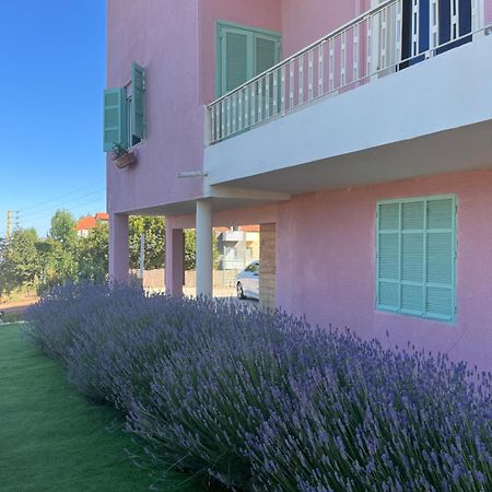 Beit Mirna Guesthouse - Ehden Exteriör bild